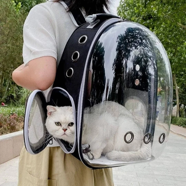 Portable Cat Bag