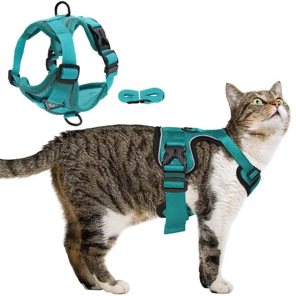 Cat Leash